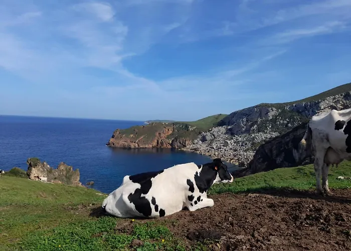 Appartement Cualventi